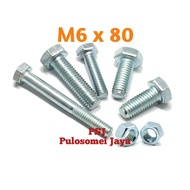 White Hex Bolt Nut Galvanized/ M6 x 80 mm