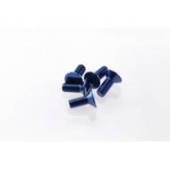 boyshobby HIRO SEIKO 69644 鋁合金平頭內六角電鍍螺絲(M3X8,Y藍色)