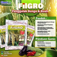 FILGRO (1kg) Baja Buah Padi / Vitamin Buah Padi/ Baja Padi Berat / Baja K / Baja Buah Padi Padat /Baja Hadil Padi Tinggi