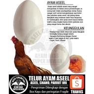 jual telur fertil ayam bangkok impor aseel shamo aduan super original