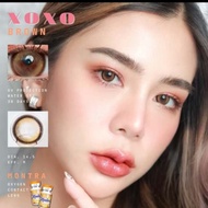 คอนแทคเลนส์ Xoxo Brown / Black / Gray (Montra) ขนาดกลาง ♥️ตาฟิลเตอร์ เลนส์ฟิตเตอร์ สวยปัง