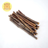 Apple Branch Chew Sticks Natural Hamsters Small Animals Wooden Apple Stick