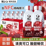 Bayberry Drink 100% Juice Vitamin C | Tart & Sweet Fruits Drink Jus Minuman 杨梅汁
