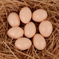 1/5/10 Fake Eggs Hen Poultry Hatching Simulation Artificial Eggs Diy Painted Egg Toys
