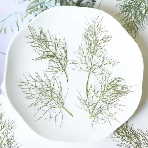 7-10cm/24pcs,nature pressed fennel leaves,embossed flower DIY drop glue phone case plant stickers de