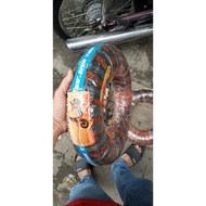 Tyre (tire) for Chengshin real electric vehicle 3.00-8 (300-8) tubeless YADEA, TAILG (with curved va