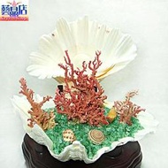 藝晶店★天然大硨磲貝紅珊瑚擺飾(69520)收藏品