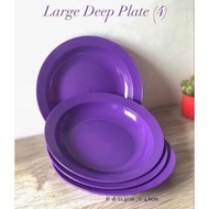 Tupperware Dinner Plate