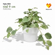 IKEA Artificial Plant In A Pot 9 cm FEJKA Vinterfint