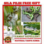 RACUN ORGANIK ULAT SERANGGA TANAMAN CAMAY REPELLENT HAPUS SERANGGA POKOK MEALYBUG, BENA ULAT DAUN BE