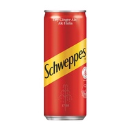 Dry Ginger Ale Can (Schweppes) - 320ml