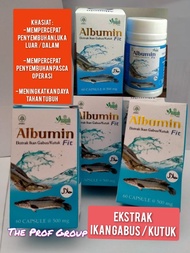 Kapsul Ikan Gabus - Albumin Ikan Gabus - Kapsul Ikan Kutuk