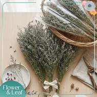 Dried Caspia Bouquet Flower Bouquets Flowers For Decoration
