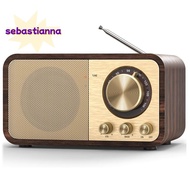 FM Radio Portable Transistor Radio Multifunctional Radio
