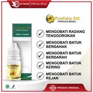 Original BPOM Medicine for Chronic Cough with Phlegm, Sore Throat, Propolis SM Propolis Brazil