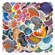 Z&amp;M❀ Discus Fish Stickers ❀ 50Pcs/Set Waterproof Stickers Decal for Toys