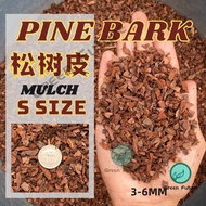 5 Litre S size PINE BARK/ Pine scale Orchid potting Pine Bark MURCH murching   松鳞松树皮 树皮 1kg 3-6mm