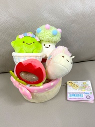 角落生物 花園系列  盆栽 啡珠 草 蝸牛 菇