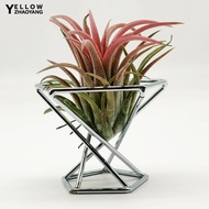 YZH-3Pcs Decorative Geometric Fern Plant Stand Metal Widely Use Air Plant Stand Holder