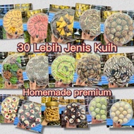 HOMEMADE PREMIUM Biskut Raya Aidilfitri Tart Nanas,Dam Sarawak, Marble Shortbread, Almond London, Tart Chocolate,Popiah