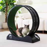 2025New Cross-Border Dropshipping Cat Exercise Wheel Cross-Border Dropshipping