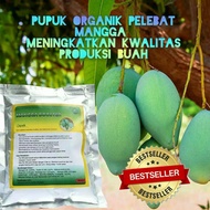 Pupuk Pelebat Mangga Organik Penyubur Tanaman dan Booster Mangga Agar Cepat Berbuah Lebat Pupuk perangsang Mangga cepat berbuah Pupuk Perangsang buah lebat Mangga Pupuk Pohon Mangga Cepat Berbuah Pupuk Mangga Terbaik Pupuk Pelebat Anti Rontok Mangga