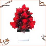 【Ready stock】 Artificial Flower Plant Pine Needle Bonsai Garden Party Desktop Ornament Decor