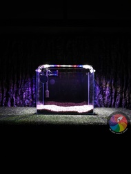 Aquarium Fish Tank 30cm Combo Set