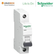 SCHNEIDER Acti9 K60N 1P TYPE B 6KA MCB/6A-40A/ Miniature Circuit Breaker/SINGLE POLE