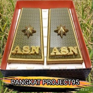 PANGKAT ASN  SUMSEL GOLONGAN 4C