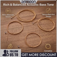 ammoon Acoustic Bass Strings 4 String Bass Strings เปลี่ยนชุดสำหรับนักดนตรี Golden