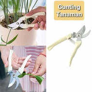 Plant Scissors Branches Twigs Leaves Bent Pruning Garden Flowers Bonsai Wood Grass Cutter Gardening 