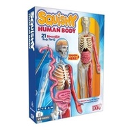 Squishy Human Body- 21 Removable Body Parts!
