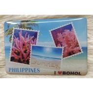 Bohol Design Ref Magnet