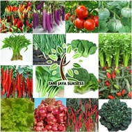 SERBU All Thousand Seeds - Vegetable Seeds - Vegetables Fruit and Vegetables