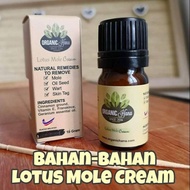 Ubat Ketuat dan Kutil