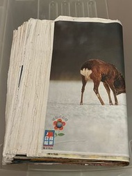 蘋果日報動物內頁海報