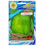 4-Direction Hybrid Cabbage Seeds