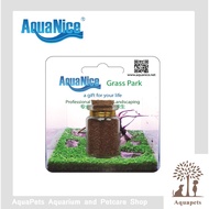 Aquanice Aquatics Plant Seed