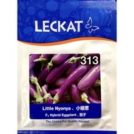 ✼Benih Terung Mini Little Nyonya 313 F1 Hybrid Eggplant Leckat - ( 10g )  ღ