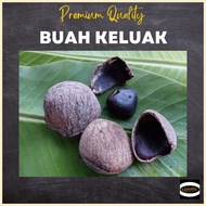 Spices (Buah Keluak) Bundle of 2 by UMMI