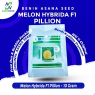Seeds PILLIONmelon 10 Gram Package - ASANA Seed
