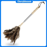 Ostrich Feather Cleaning Tool Efficient Cleaning Ostrich Feather Duster for Car Screen Lamp SHOPCYC2