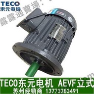 TECO 0.75KW正品東元馬達 三相異步電機可帶剎車1HPAEVF2級4級6級