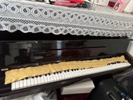 Tokai 直立式鋼琴