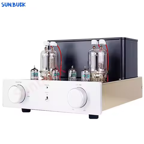 Sunbuck 6H3N push-pull FU29 Tube Amplifier manual point-to-point welding 30W+30W HIFI FU29 tube Powe