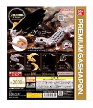 Bandai Premium Gashapon Leopard Gecko  /  萬代 扭蛋 大圖鑑  豹紋壁虎🦎 守宮  全長約180mm  -  26箇所可動  少量現貨 （每款各售$100，買