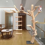 HY-6Naughty Oversized Wooden House Cat Climbing Frame Cat Nest Cat Tree Integrated Imitative Tree Log Solid Wood Large C