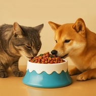 陶瓷富士山碗 寵物碗 貓狗碗 碗 寵物用品