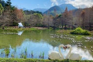 【高鐵假期】苗栗鳴鳳古道．南庄老街一日豐富行